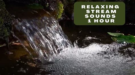 stream sounds for sleeping|relaxing stream sounds.